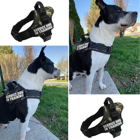 K9 Dog harness Nylon Adjustable customize dog name for dogs vest collar small large Chihuahua husky dog accessories dropshipping